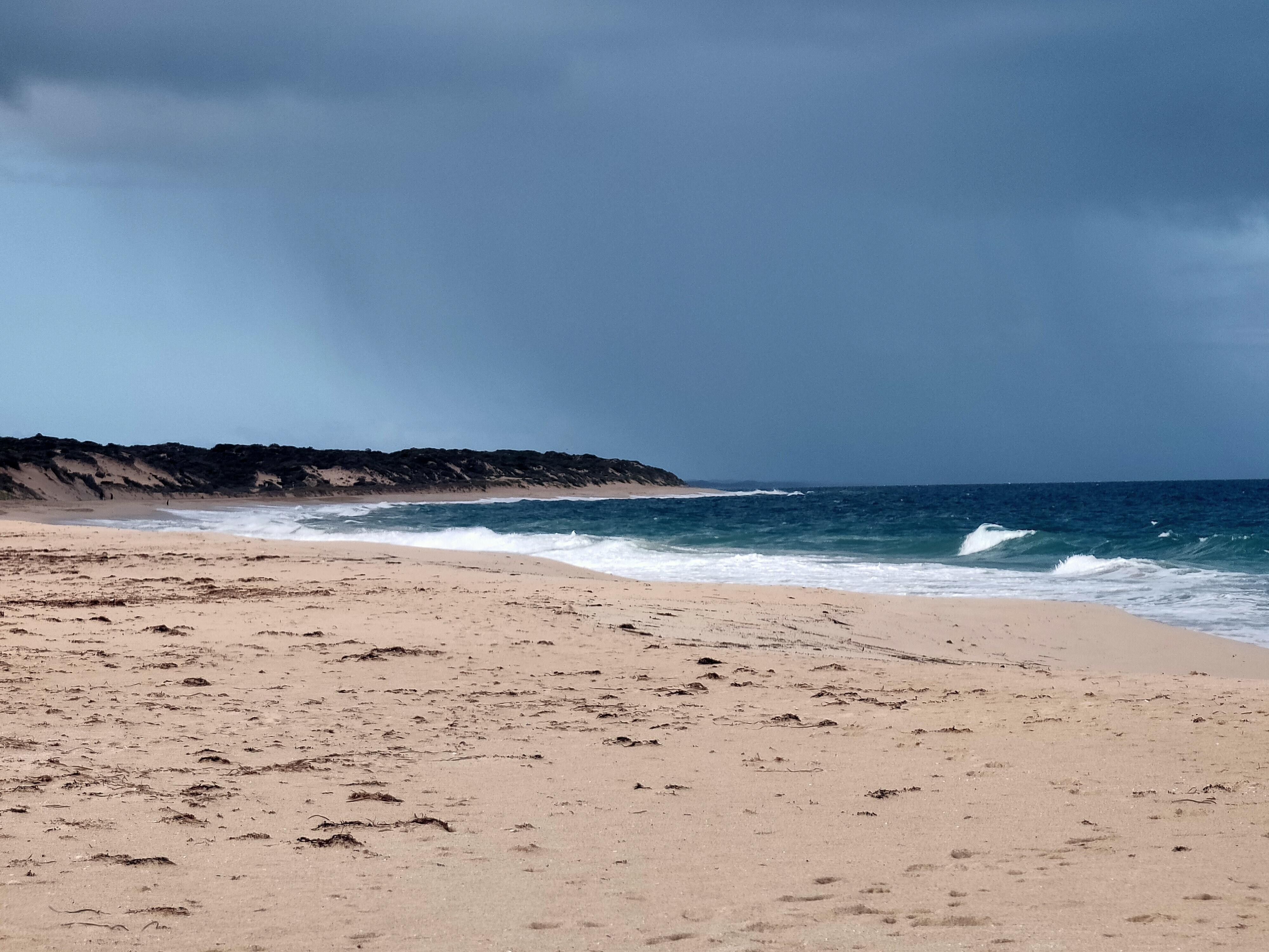 Beach looking south. Dog allowed on this North part of the beach. 