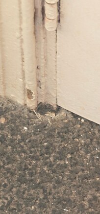 Filthy carpet by the door.