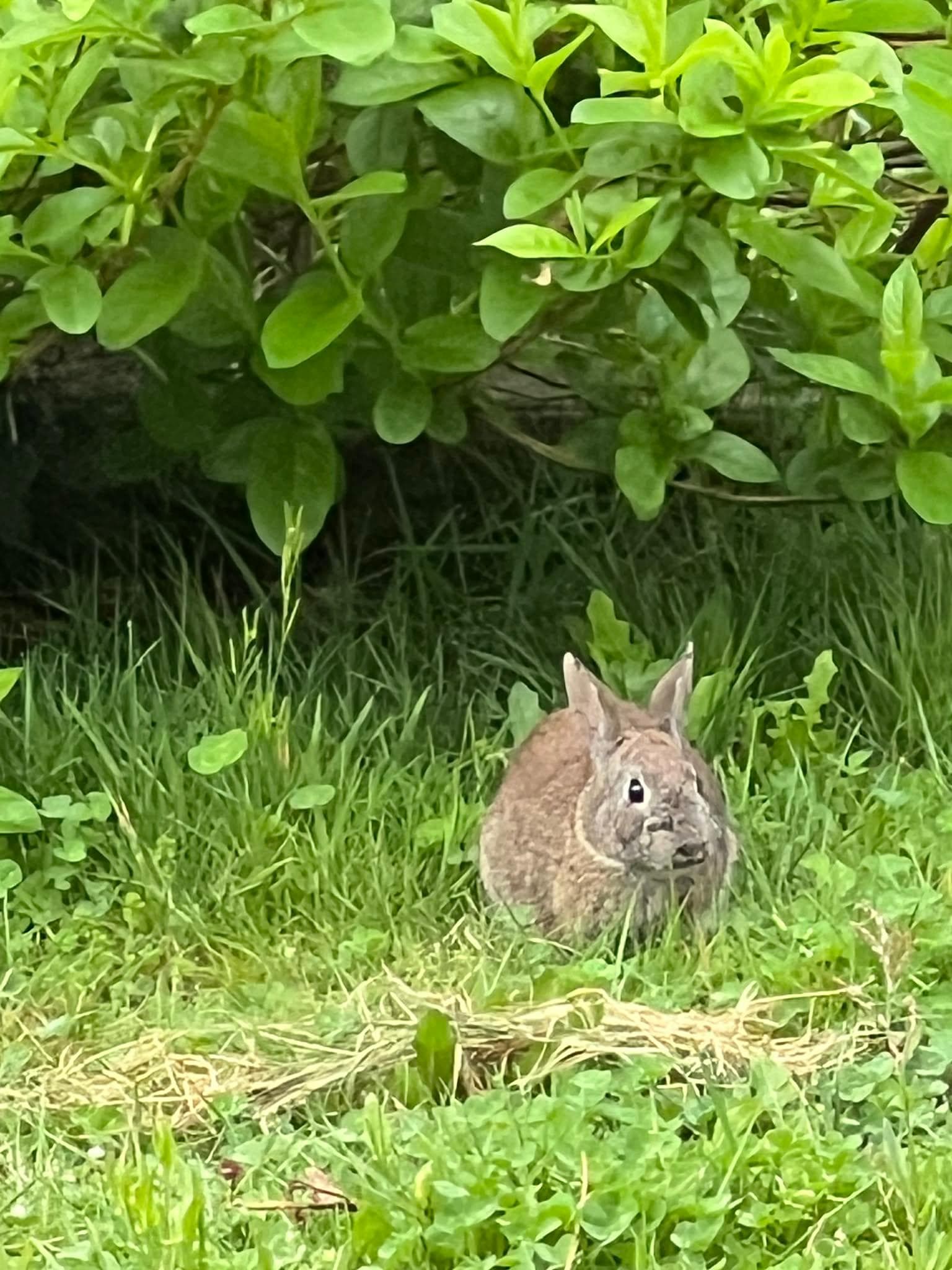 Our surprise visitor 