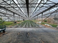 Green house