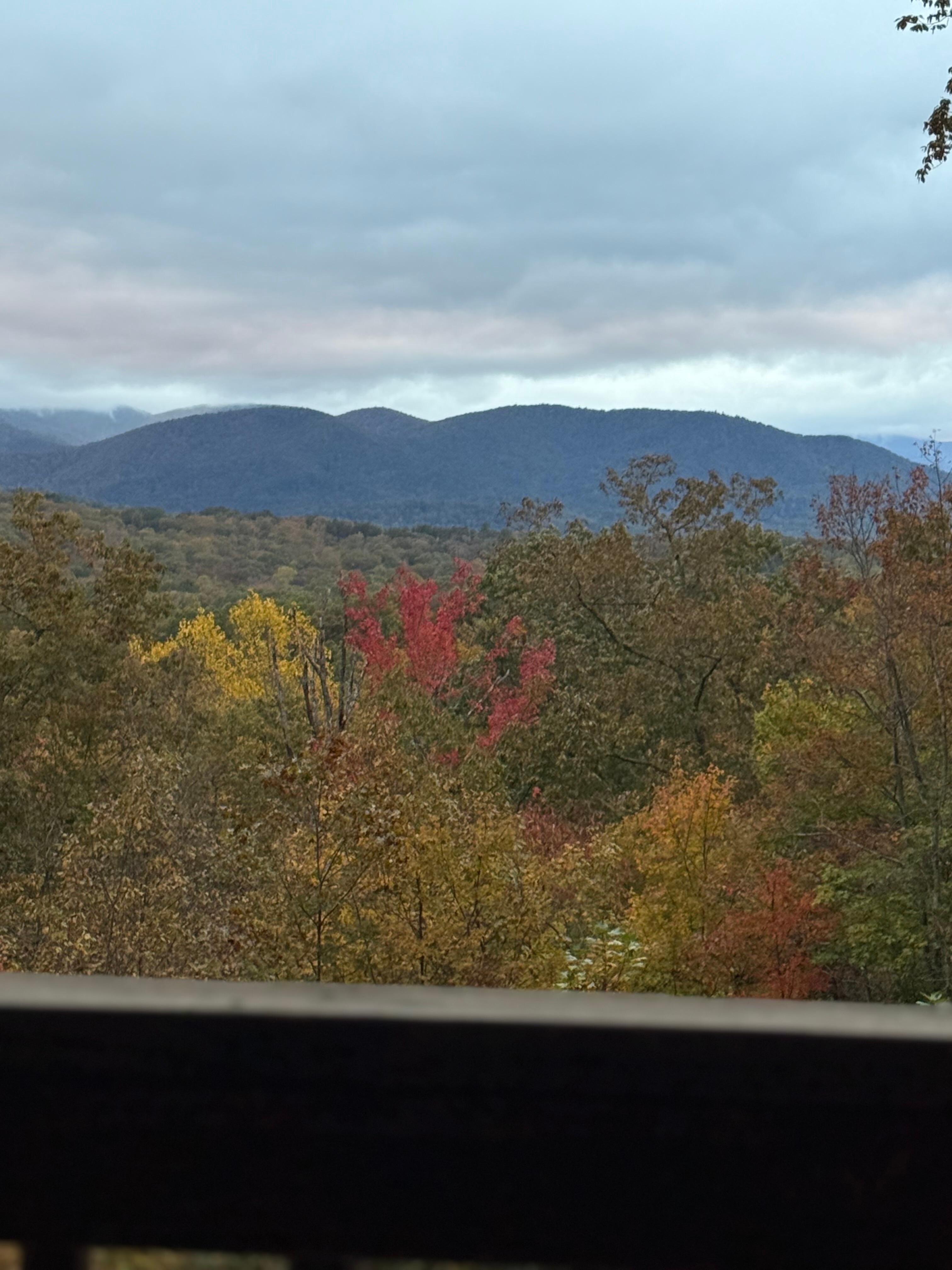 View from the top deck