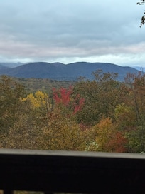 View from the top deck