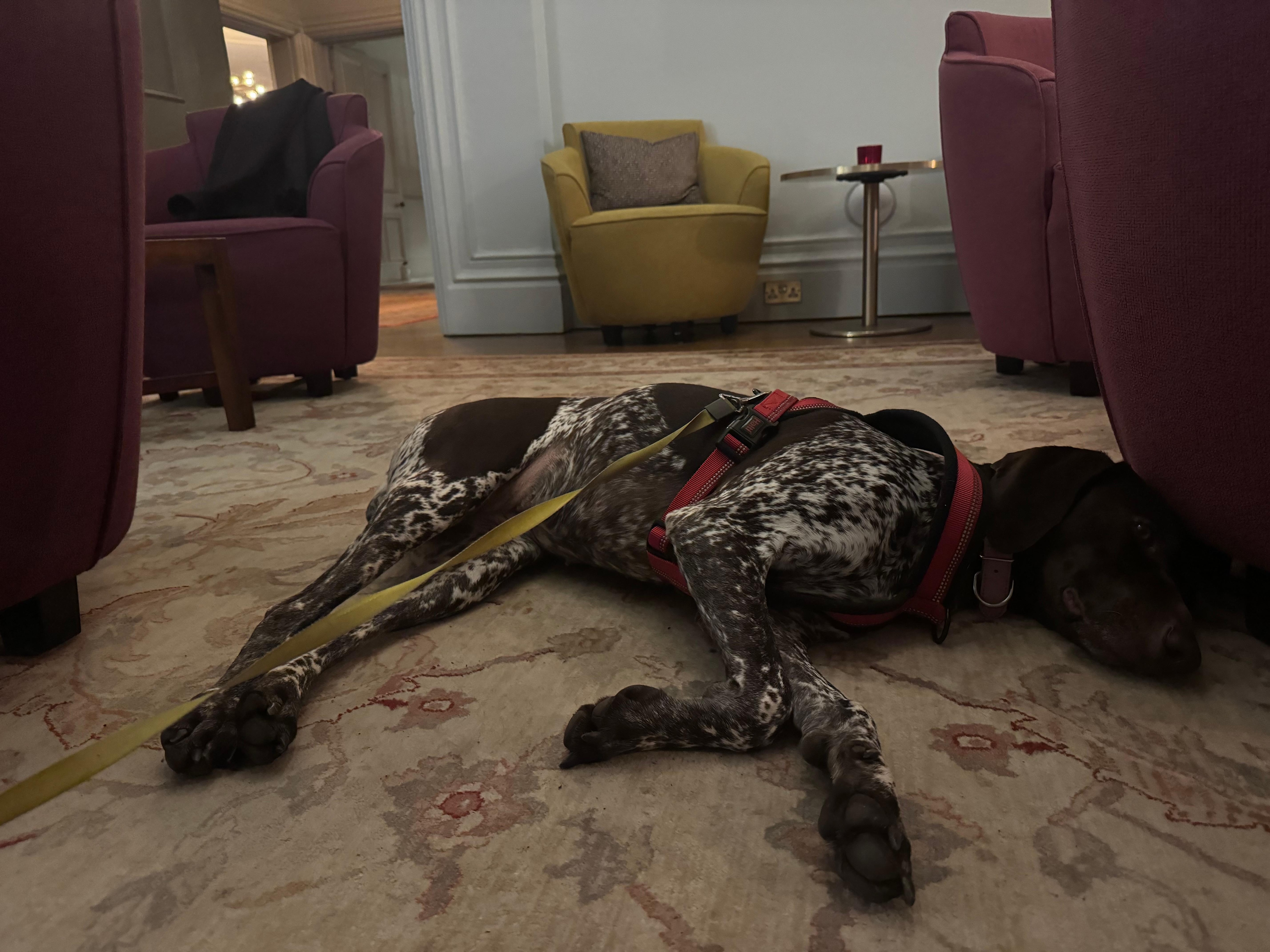 Chilling in one of the lounges