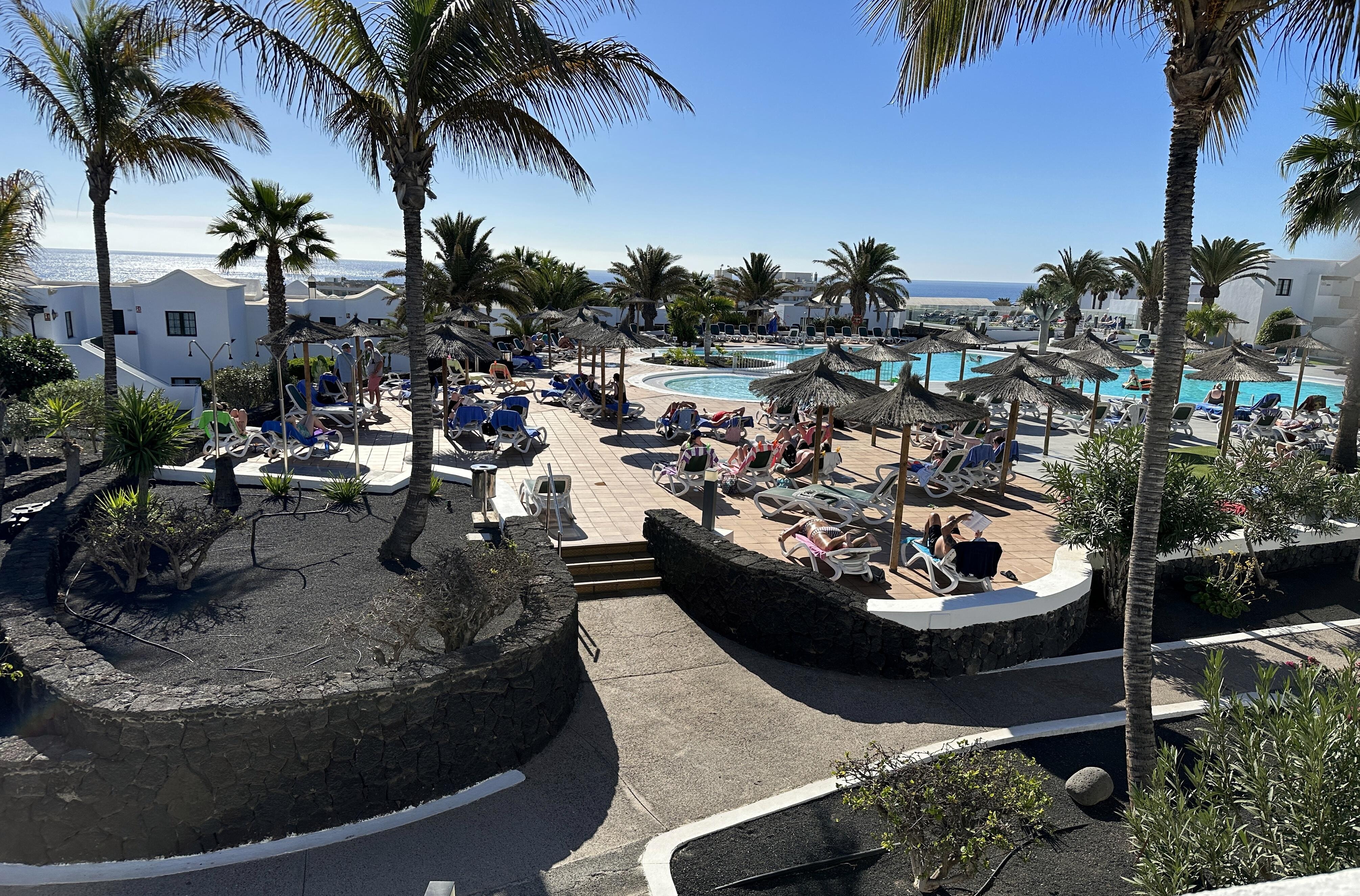 Yrende liv ved bassenget