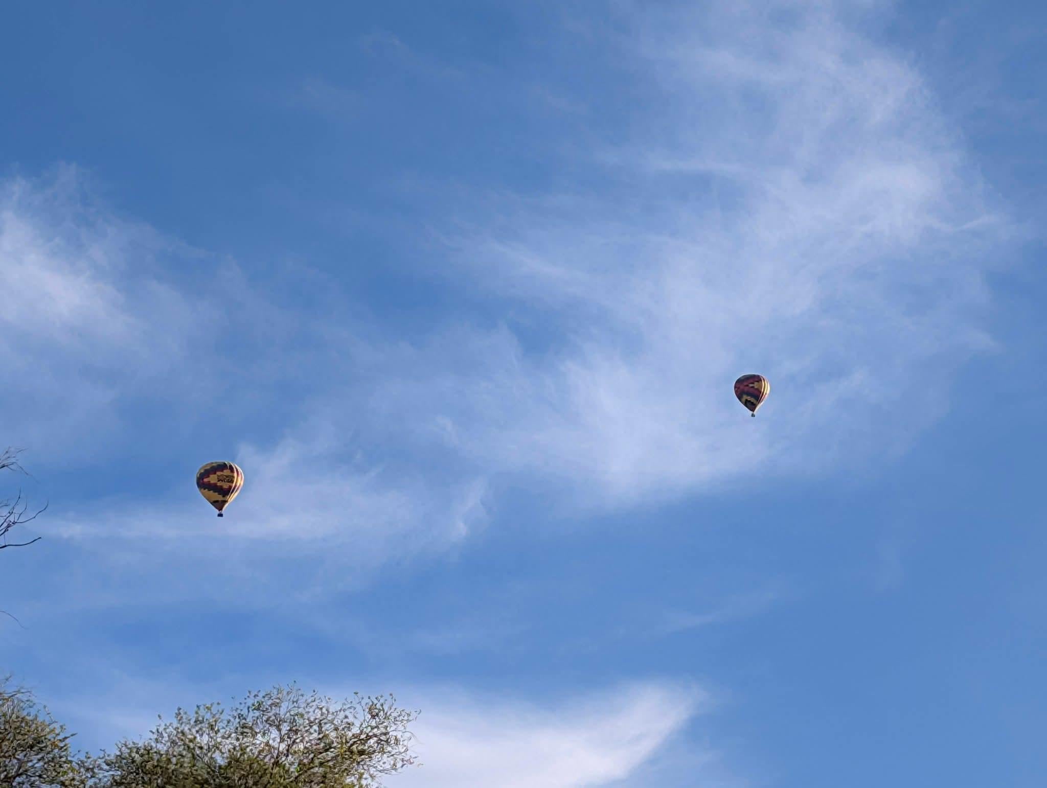 You can sit out in the screened front porch or out in the yard and watch the sunshine hot air balloon ride's . 