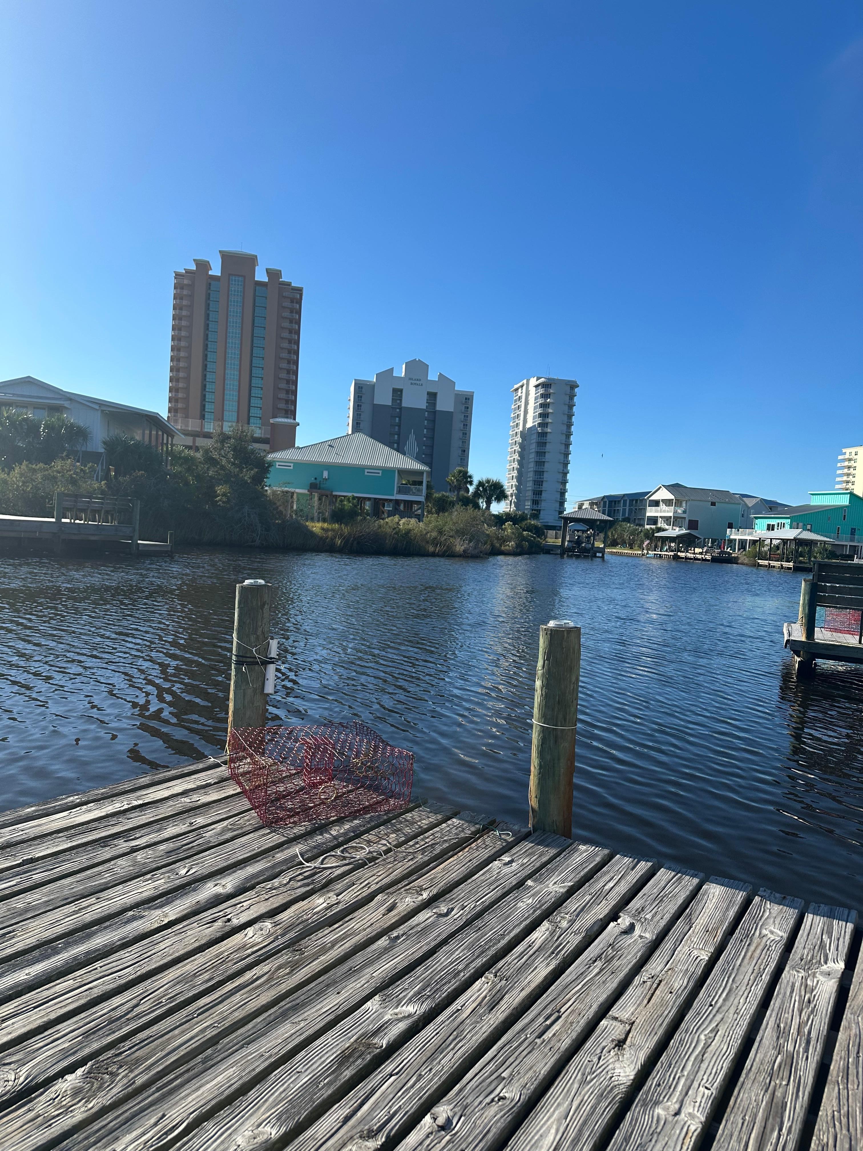 Sitting on the dock… Where we saw “ Kevin” daily ☺️
