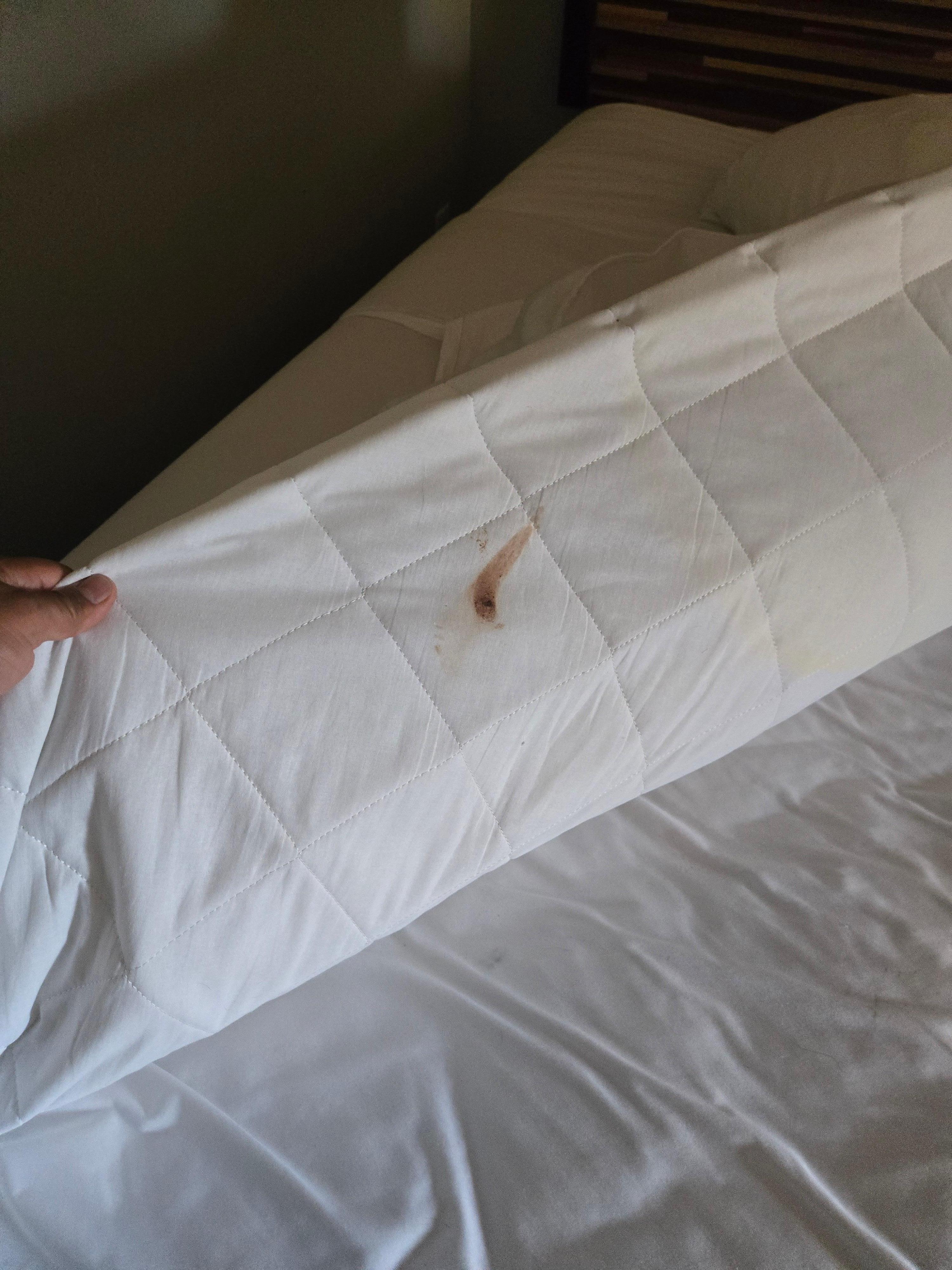 Is that menstruation blood???