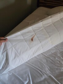 Is that menstruation blood???