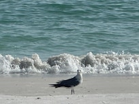 Lido Beach