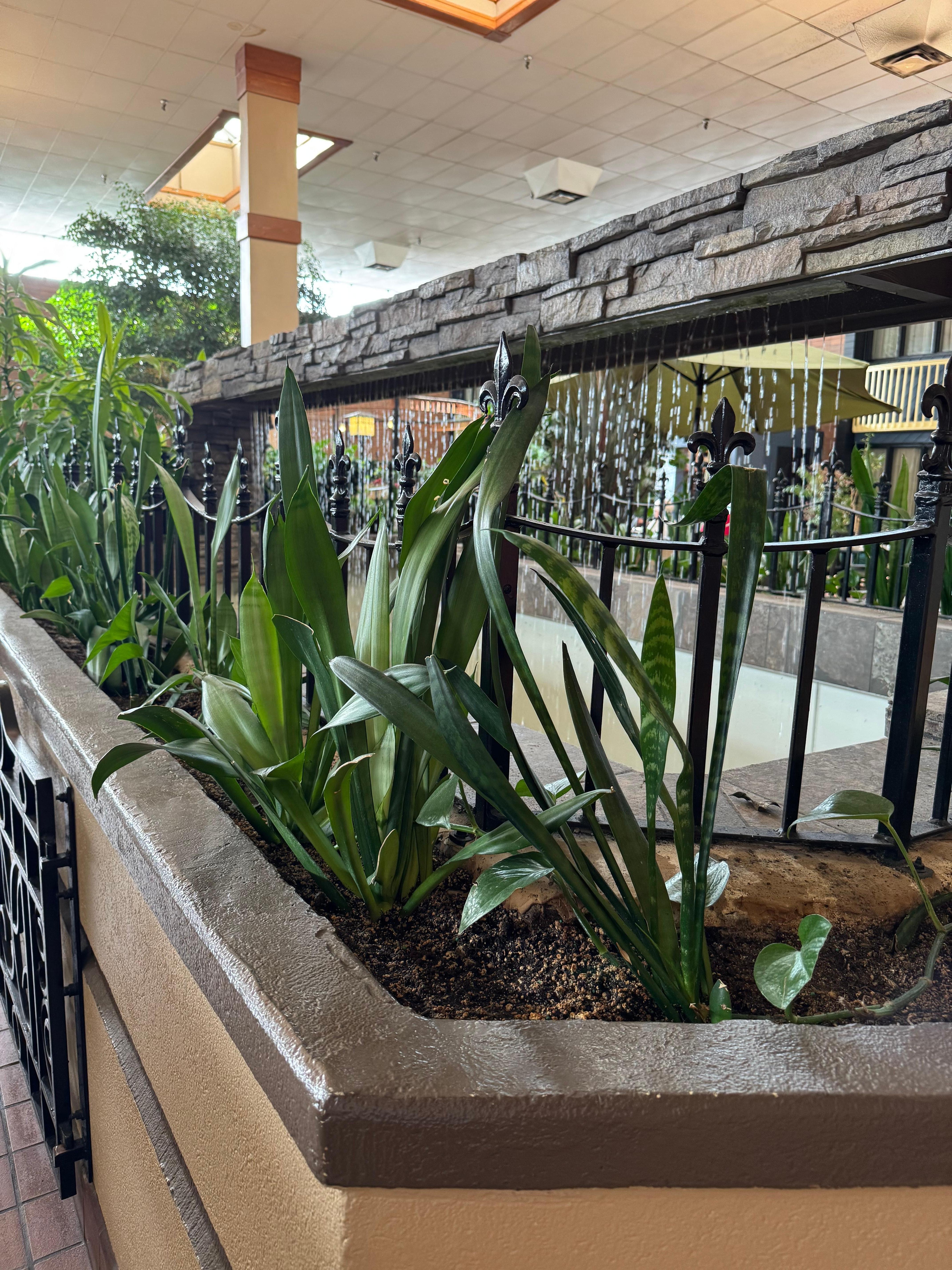 The entrance to the garden restaurant and buffet.  Excellent chefs and service!