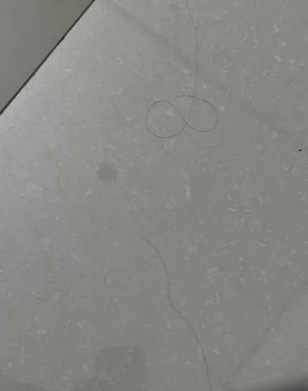 Stranger’s hair on the bathroom floor