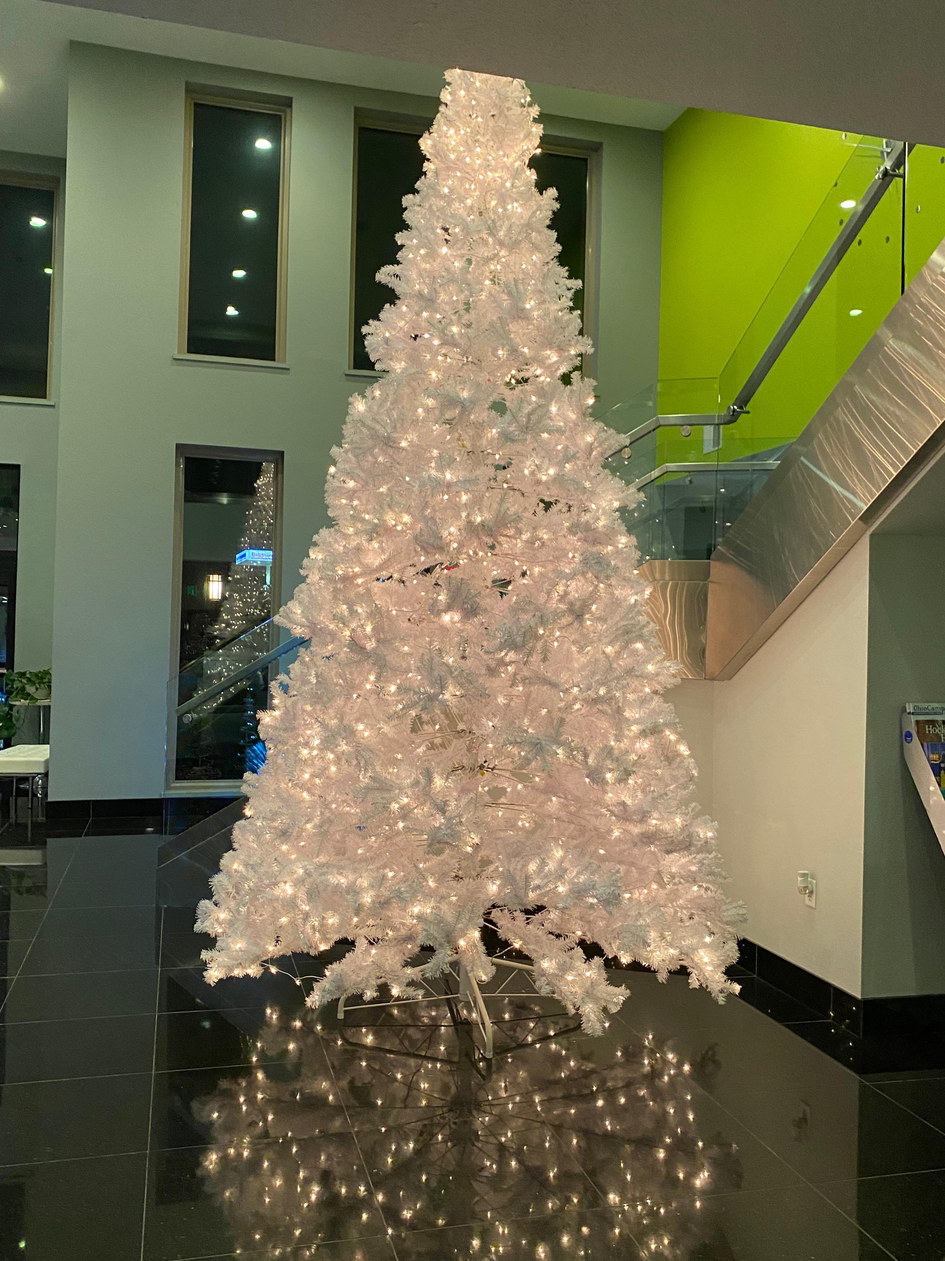 Beautiful Christmas tree in the lobby.