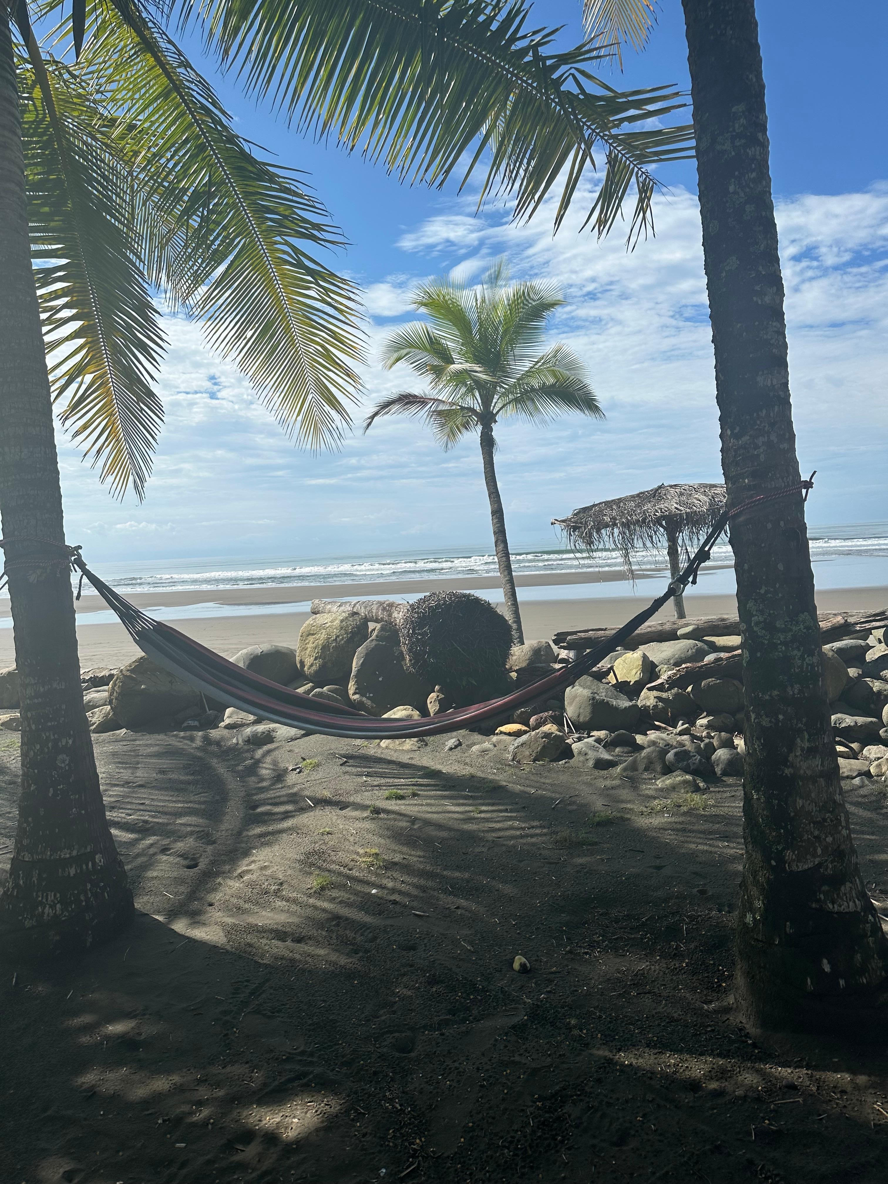 Hammock views is the front yard