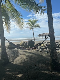 Hammock views is the front yard