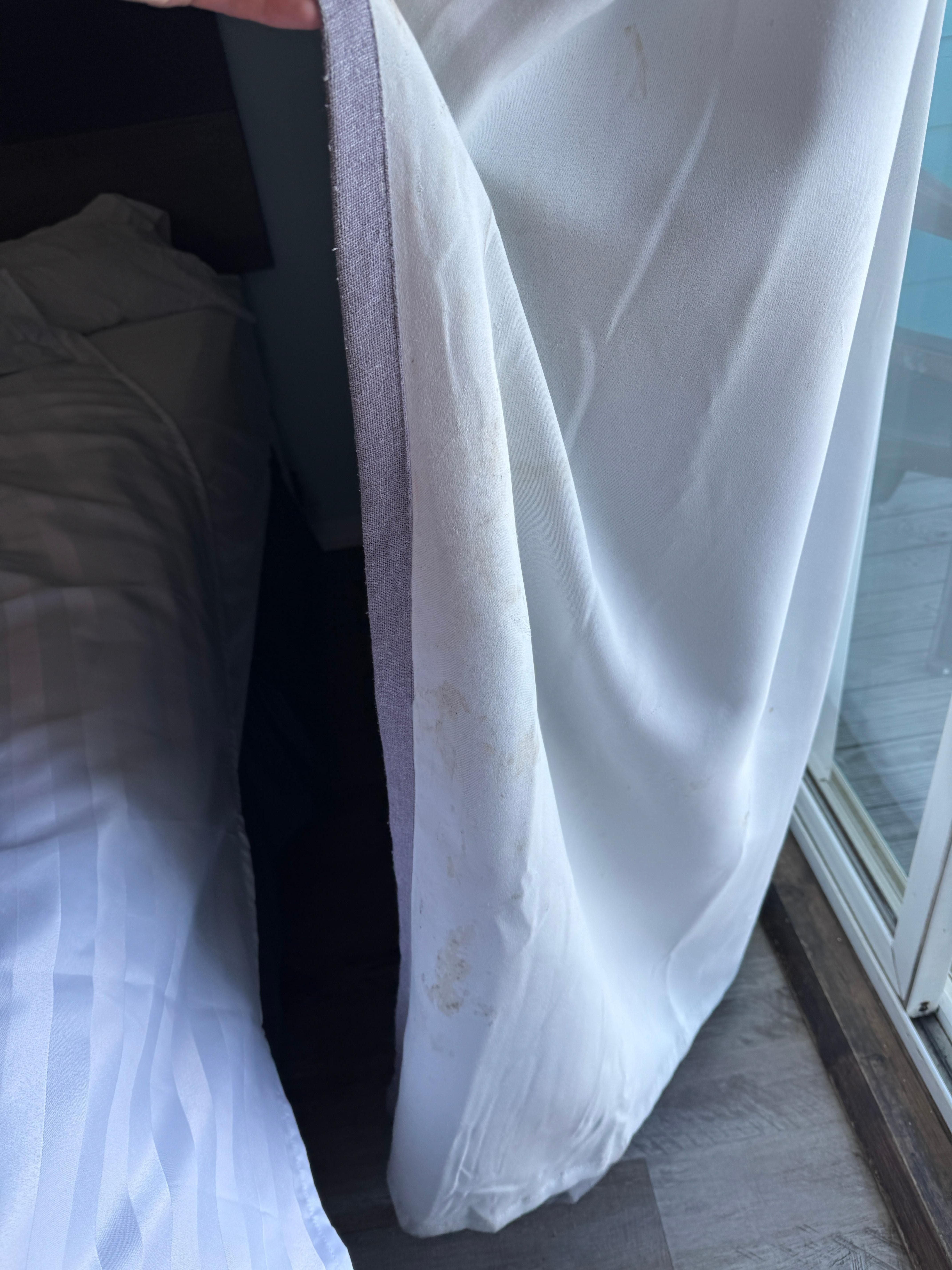 Mold on the curtains.
