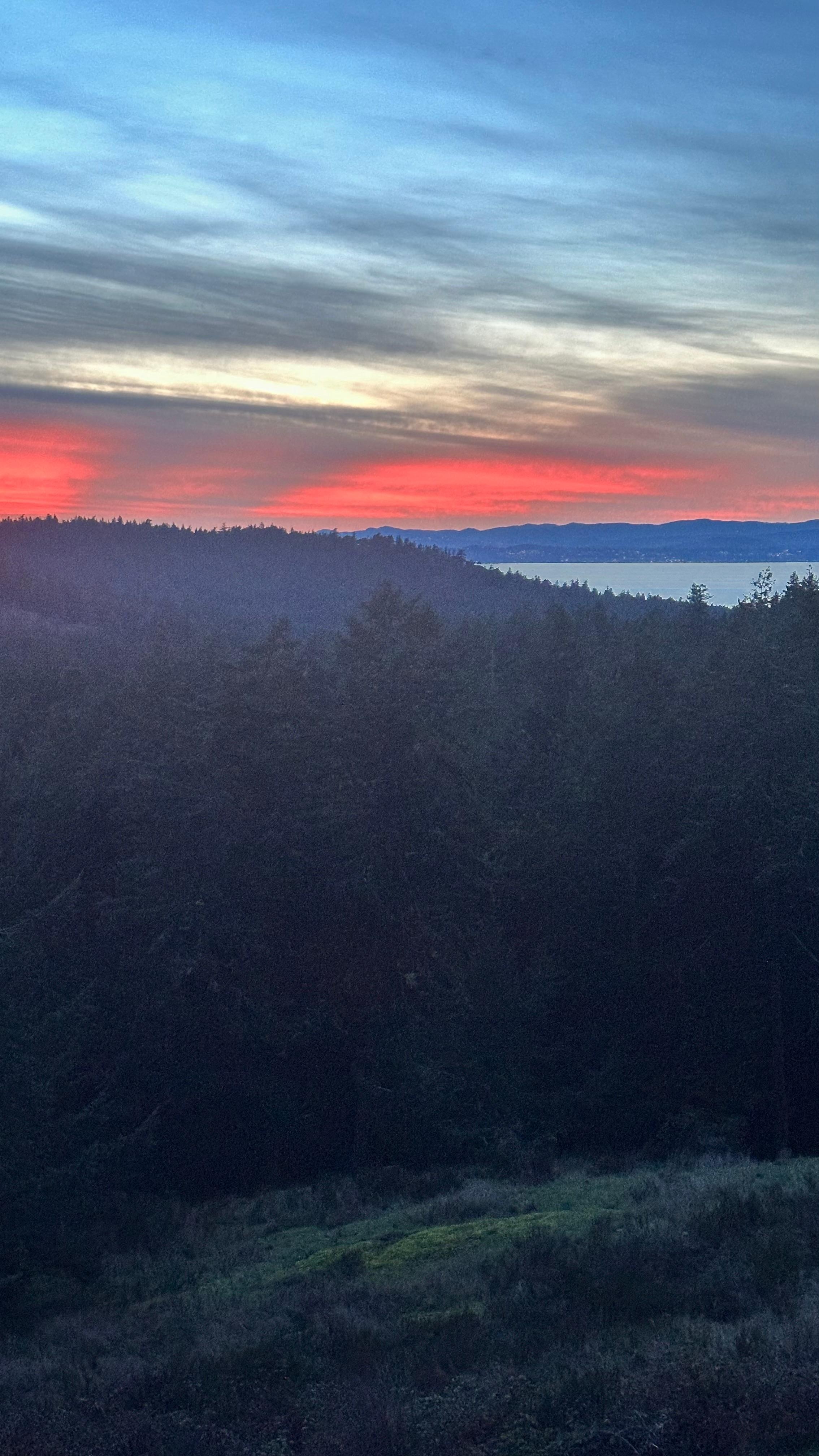 View from the house.