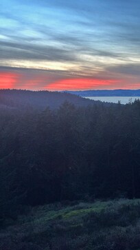 View from the house.