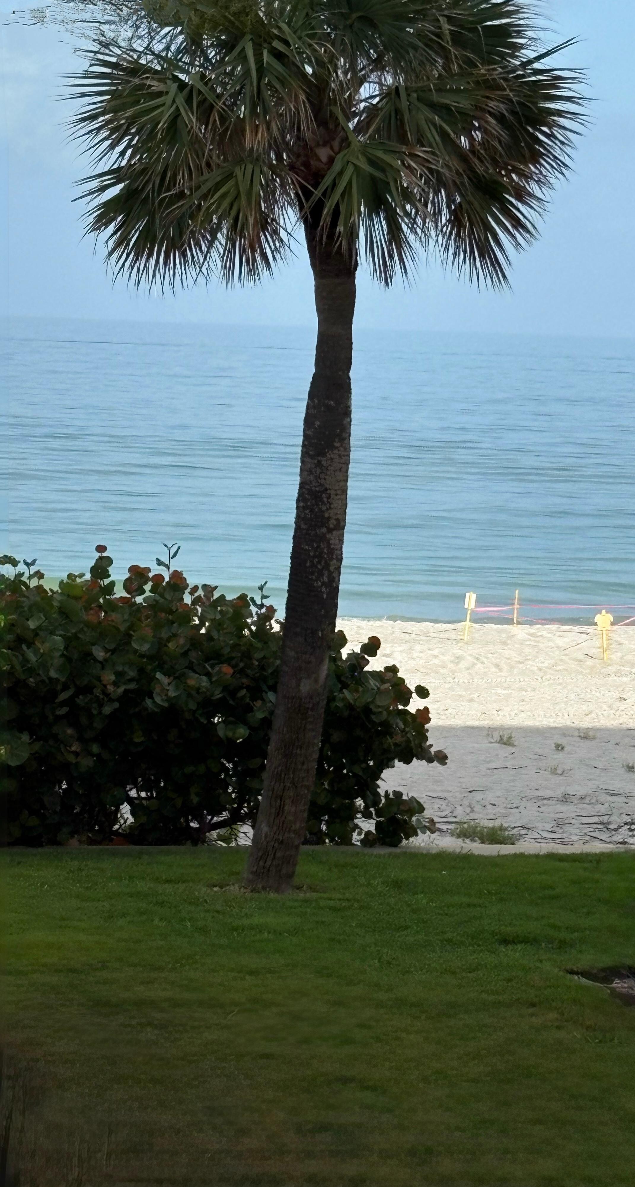 View from the balcony. There is other places in front of you.