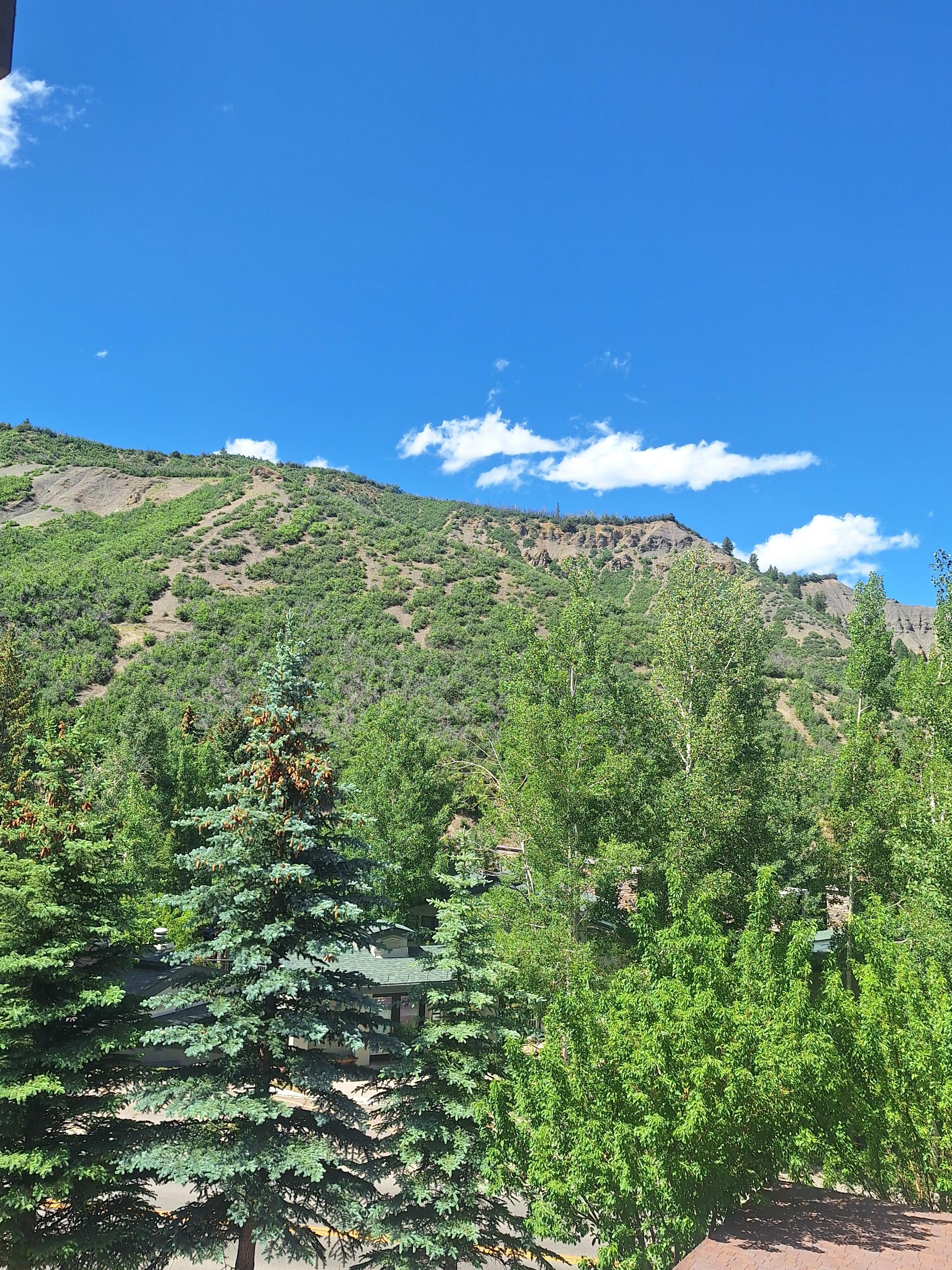 View from deck