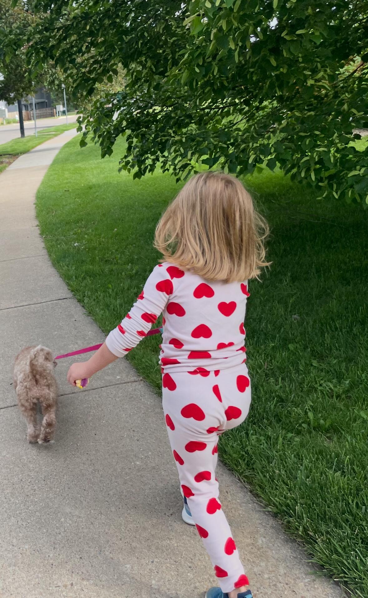 Neighborhood walk 