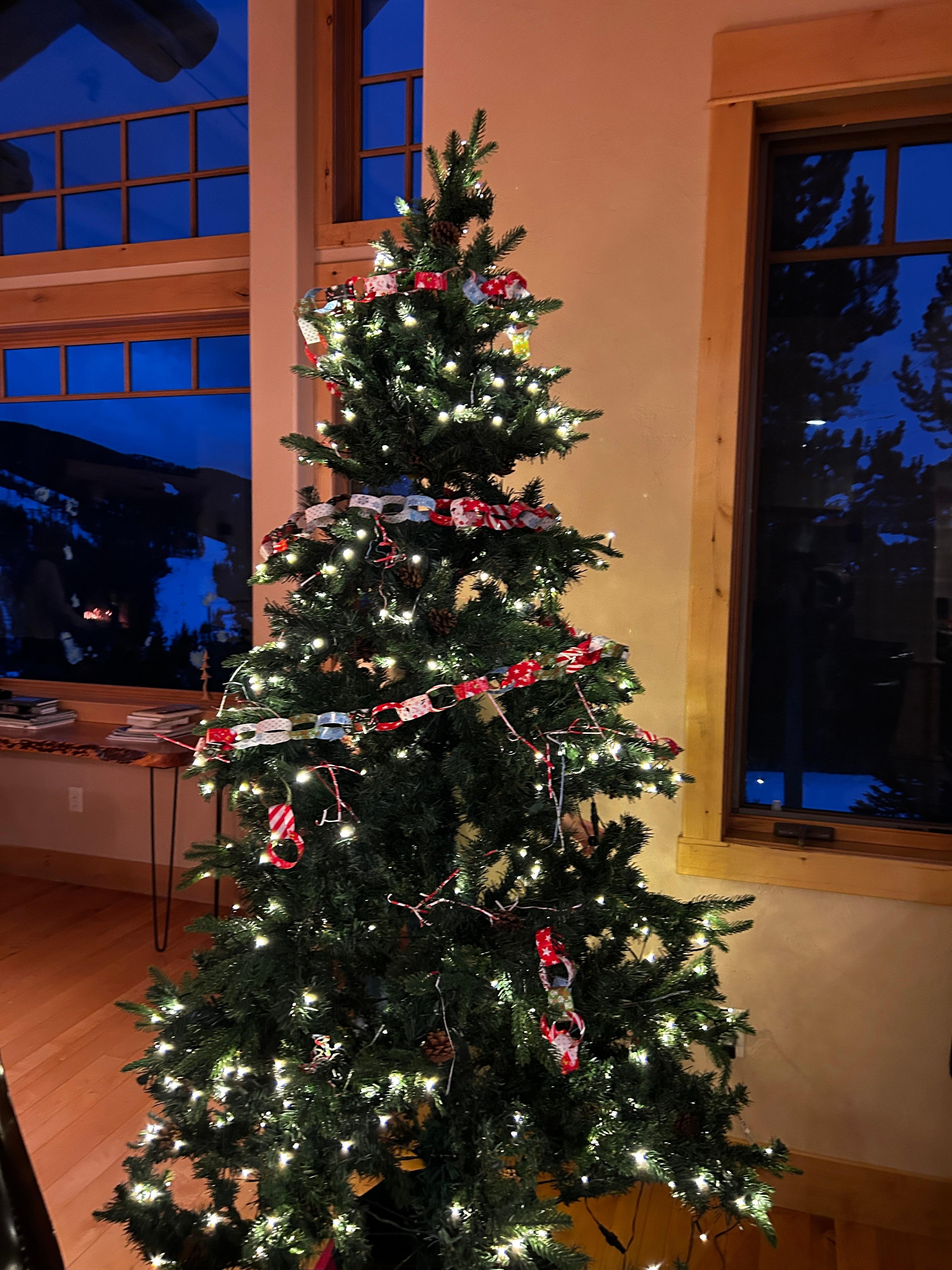There was a lighted Christmas tree waiting for us on arrival! Perfect for our holiday vacation!