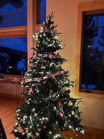 There was a lighted Christmas tree waiting for us on arrival! Perfect for our holiday vacation!