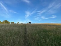 Lookout