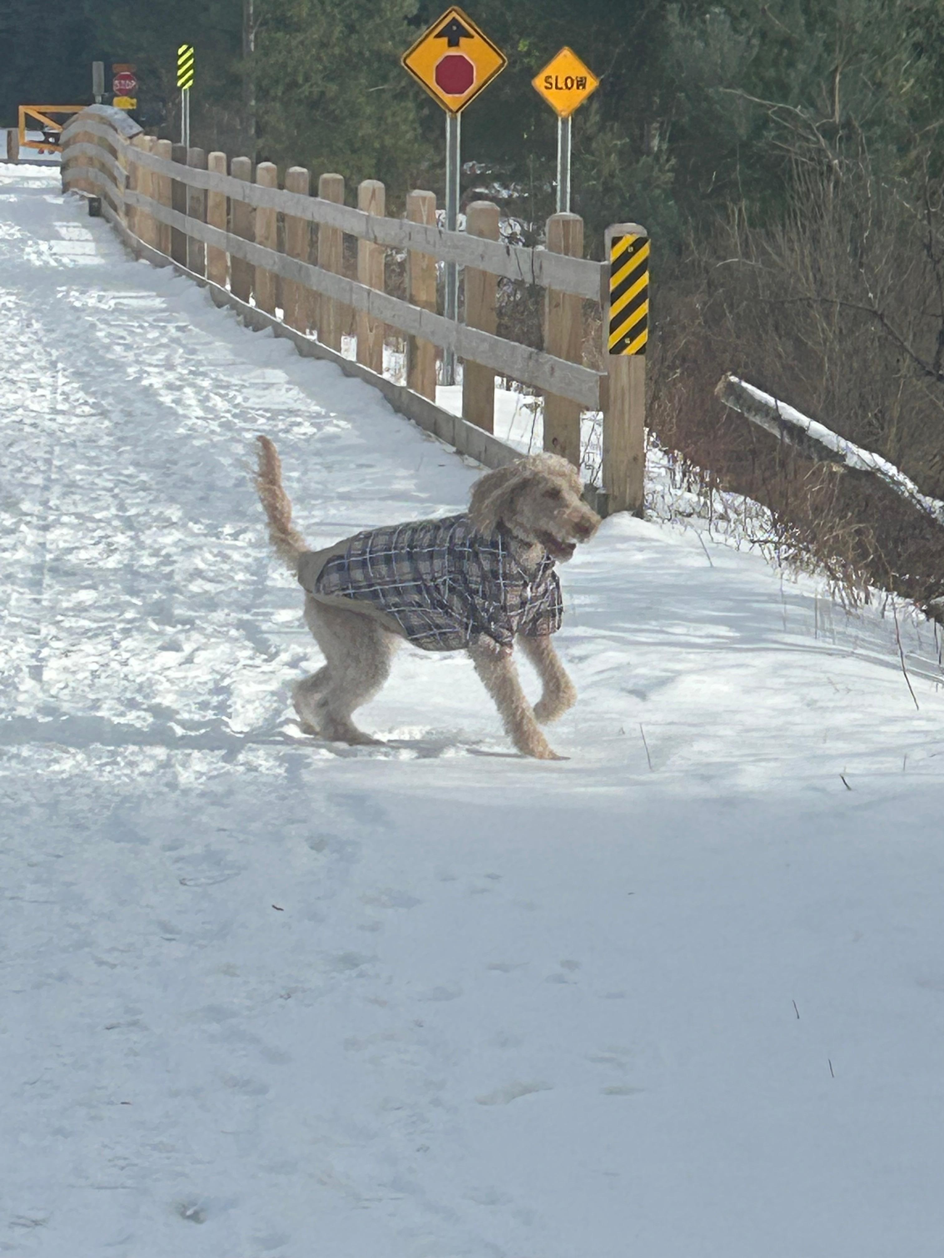 Walking on the Rail Trail