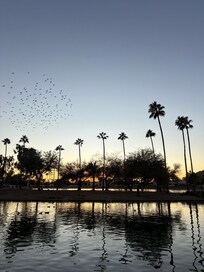 View from the front door.