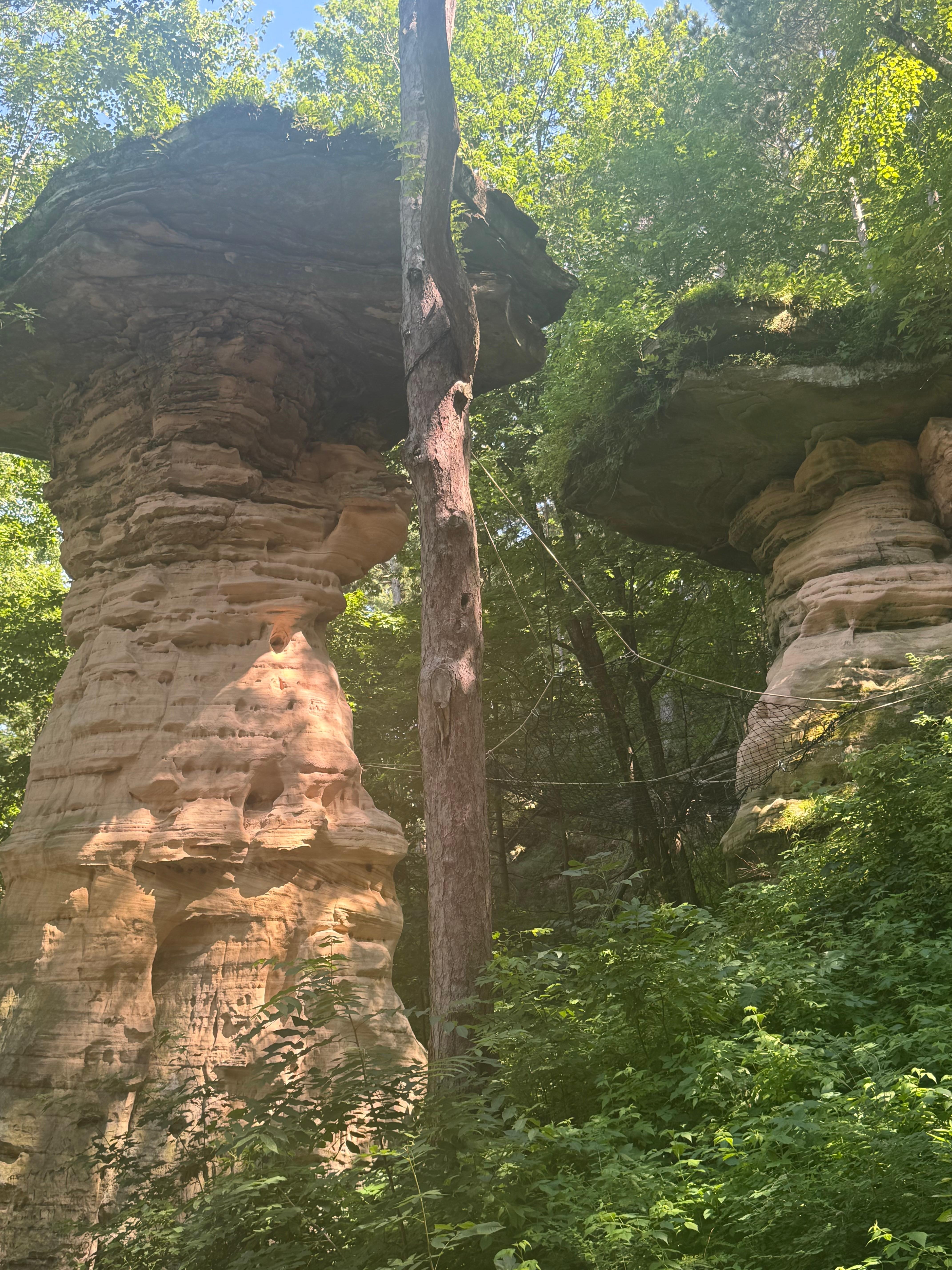 Upper dells boat tours