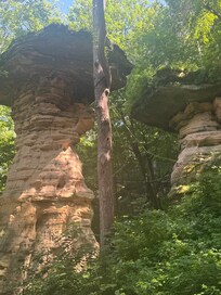 Upper dells boat tours