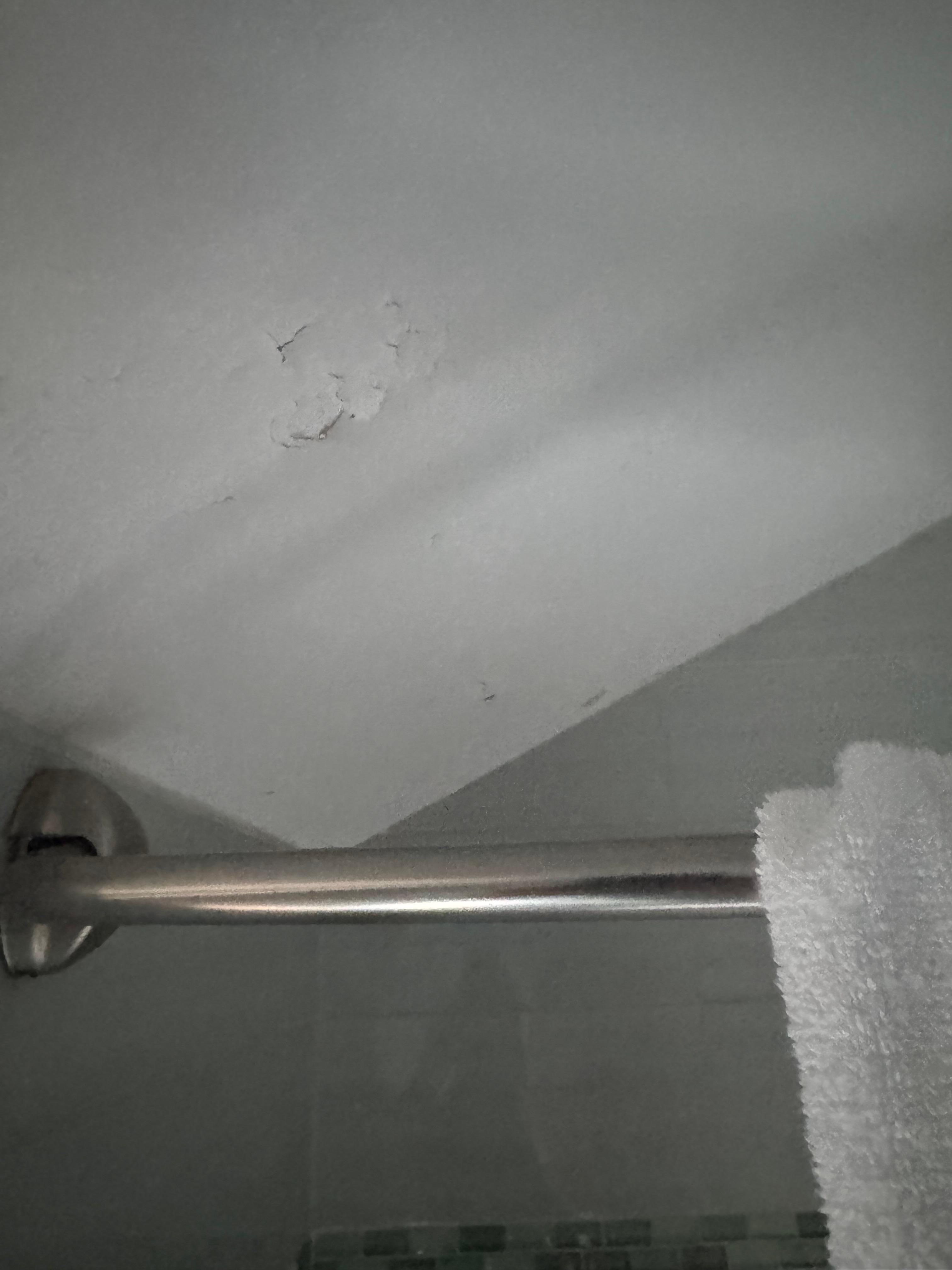 Paint peeling in the main floor bathroom 