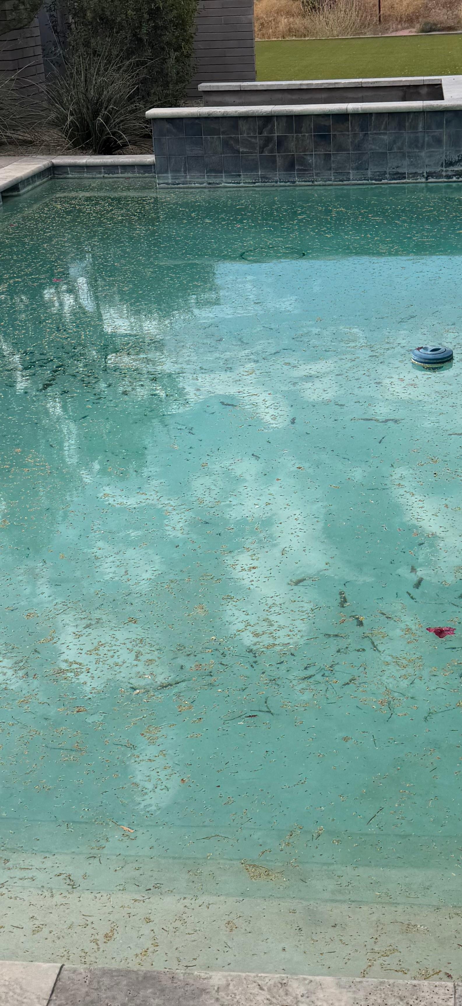 Dirty pool and no hot tub