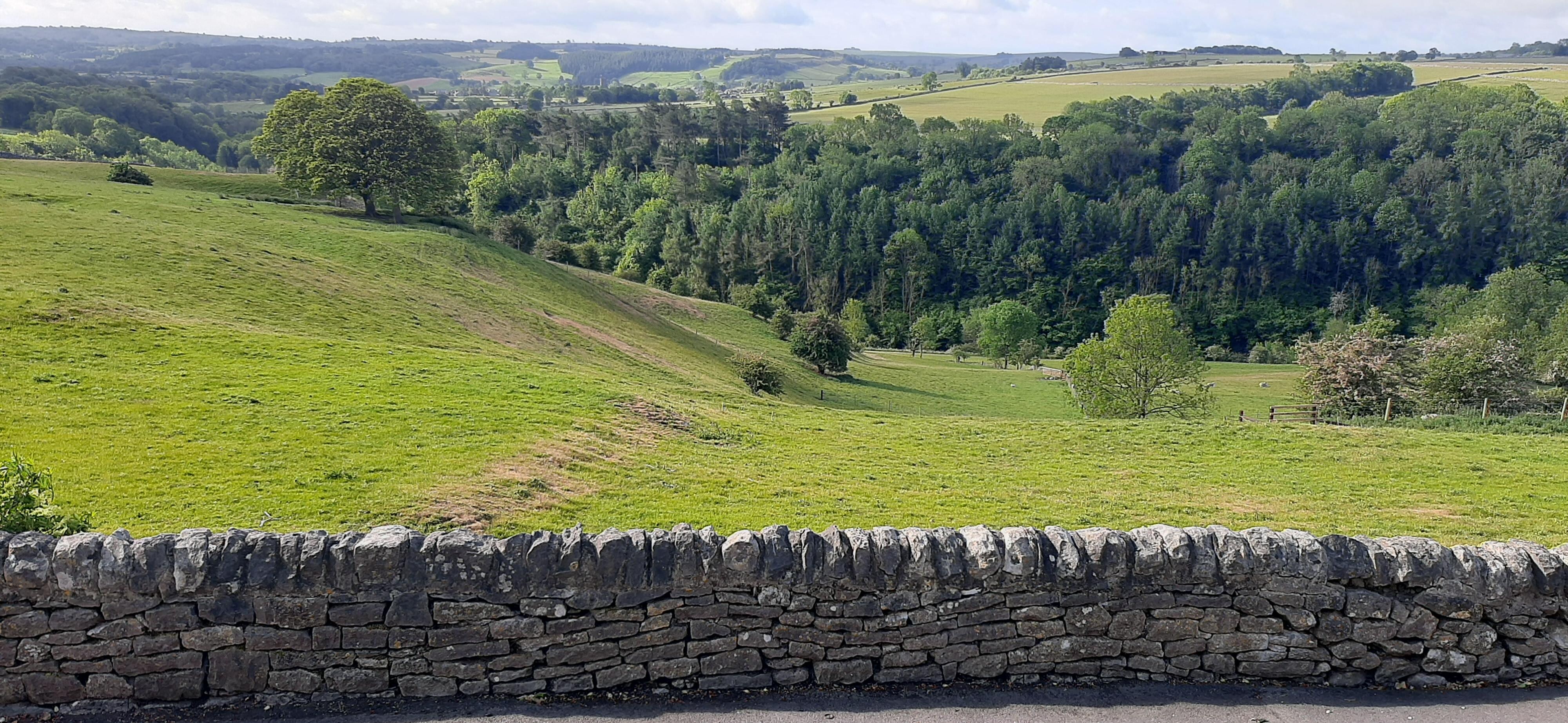 View of the dale