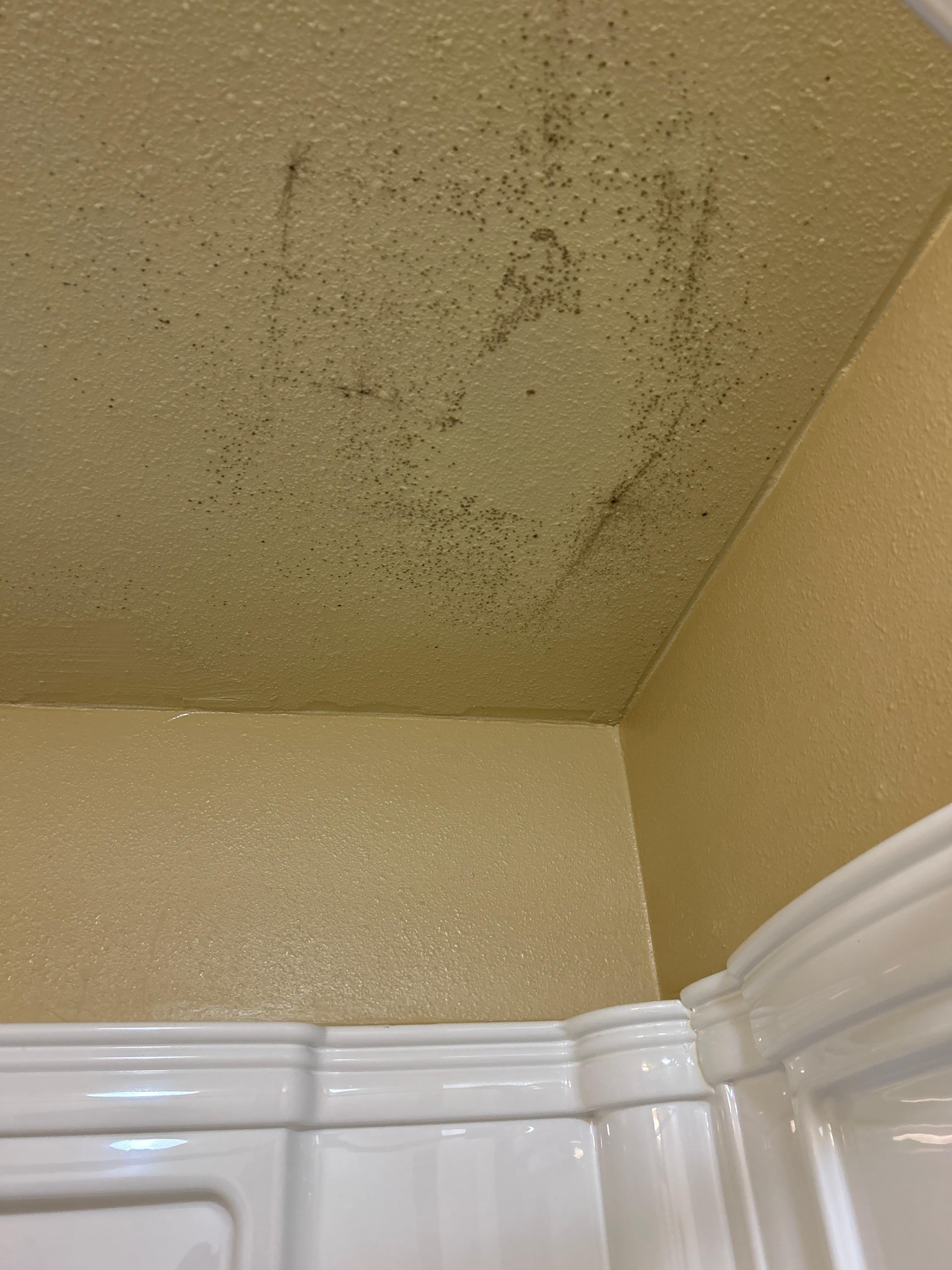 Ceiling above shower