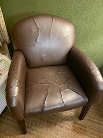 Disgusting lounge chair.