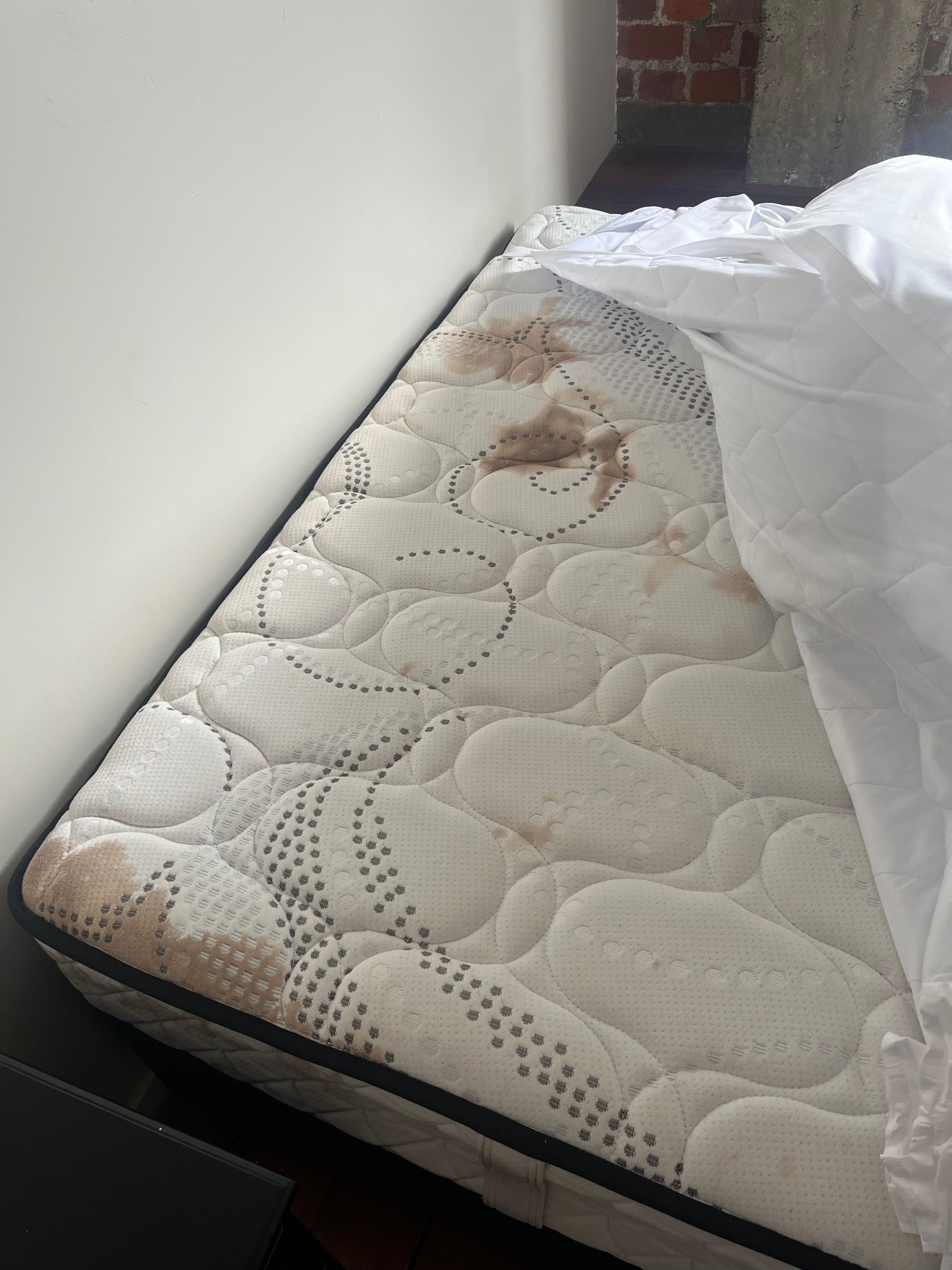 What it really looked like 