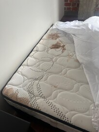 What it really looked like