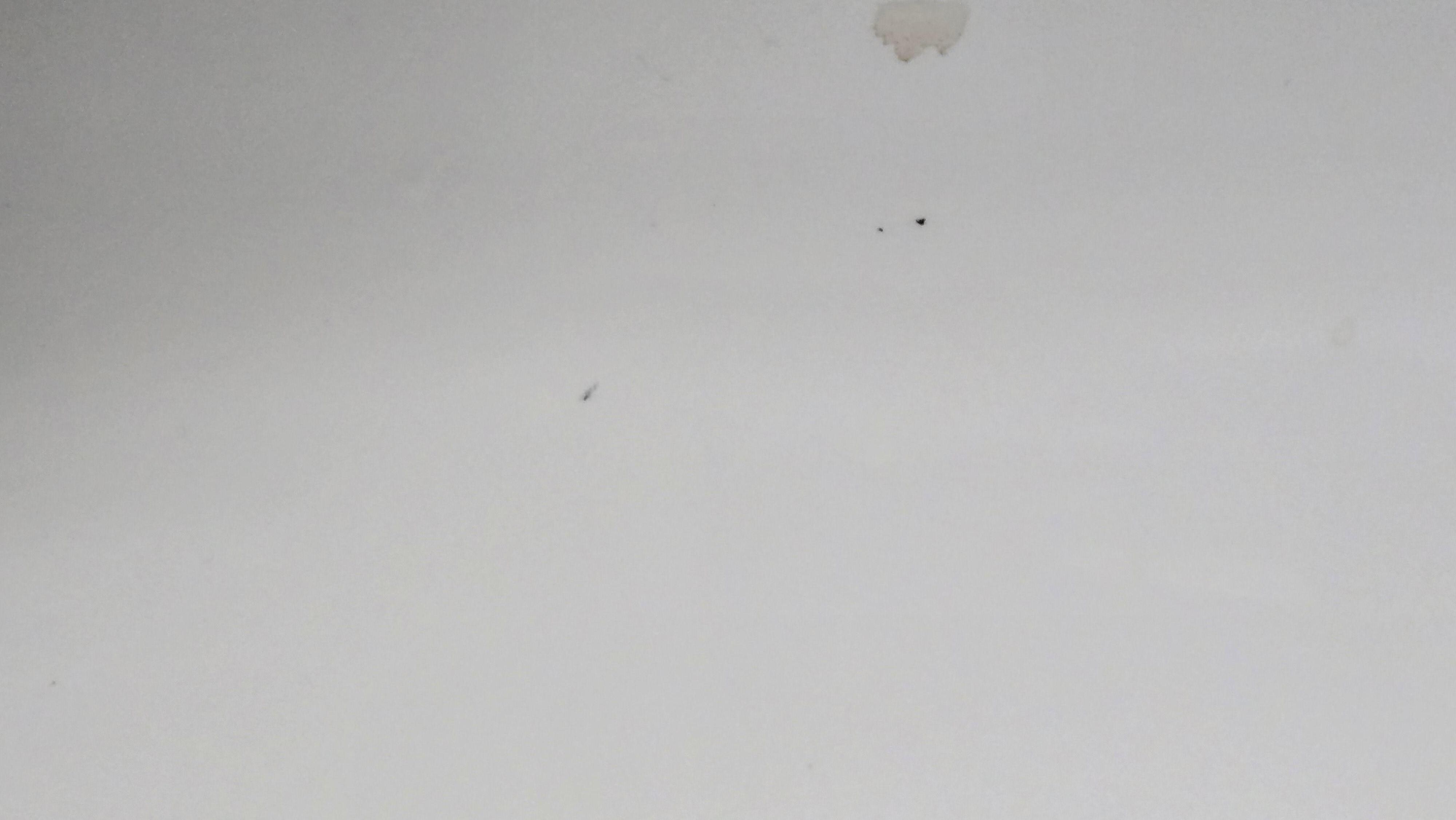 Hair in the sink. You can see all the small hairs because the flash was on