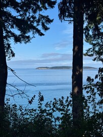 View from the Deck
