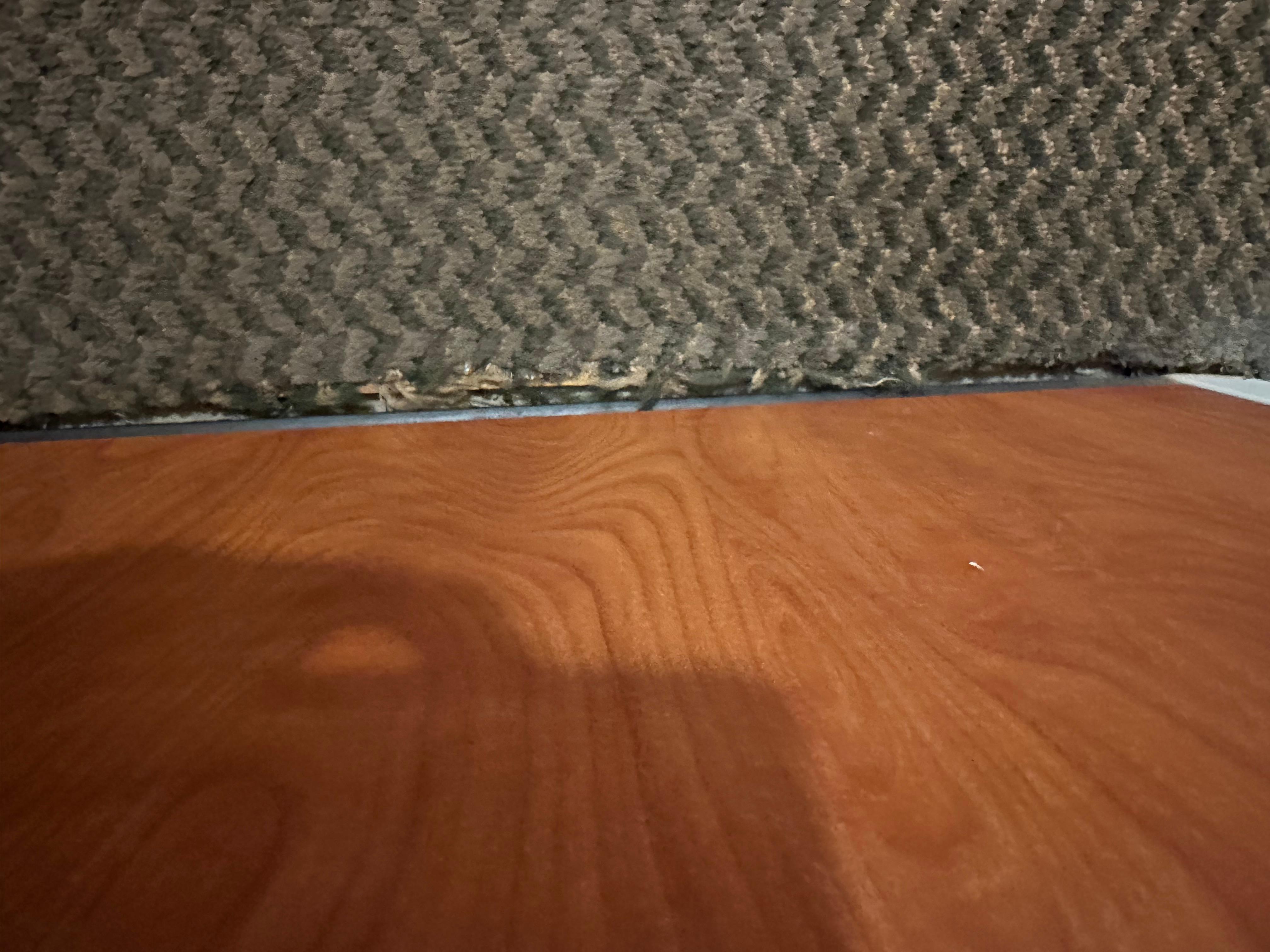 Carpet 