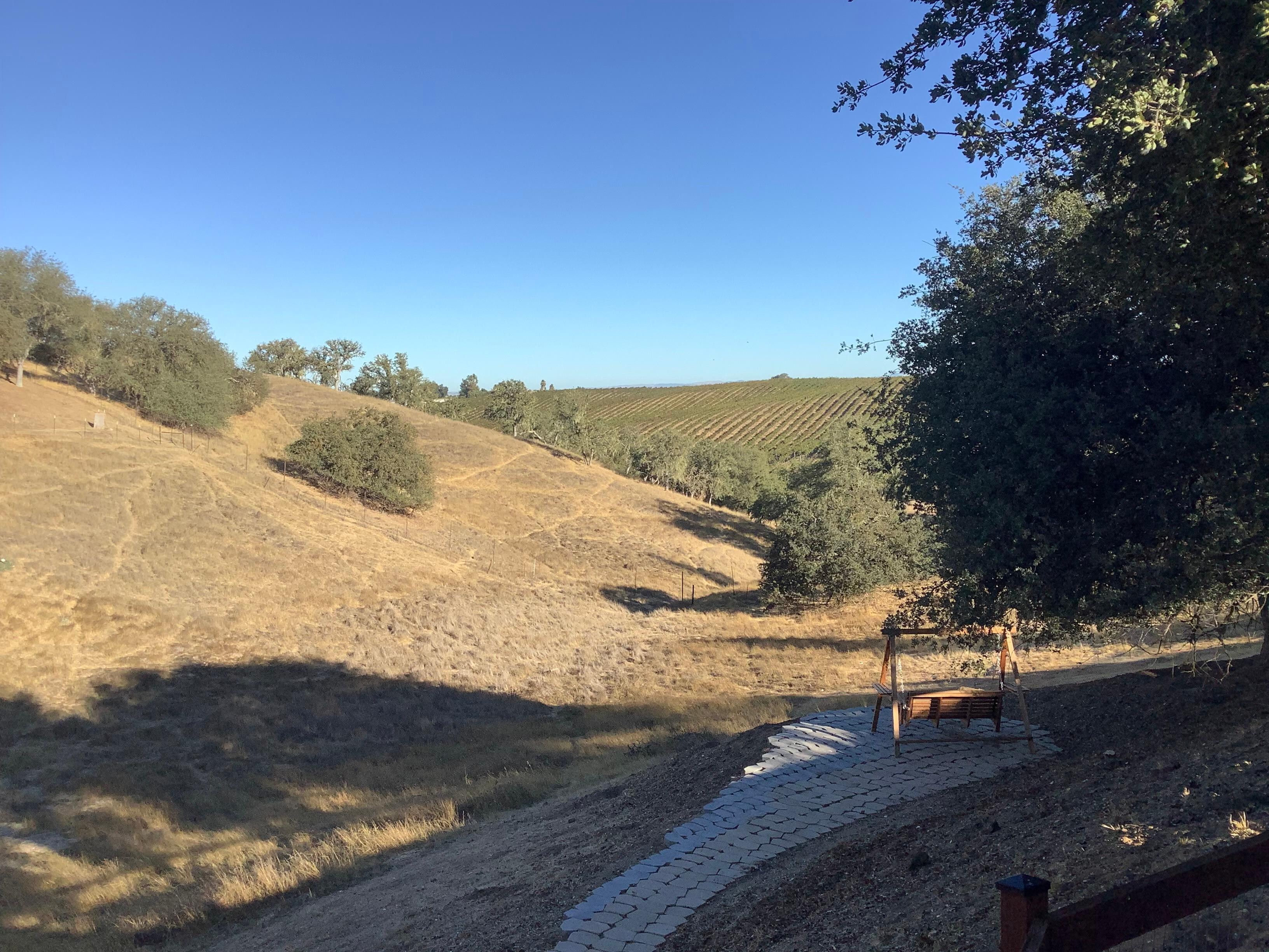 Beautiful view of vineyards behind home
