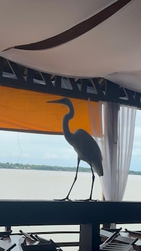 Vista do restaurante com um visitante