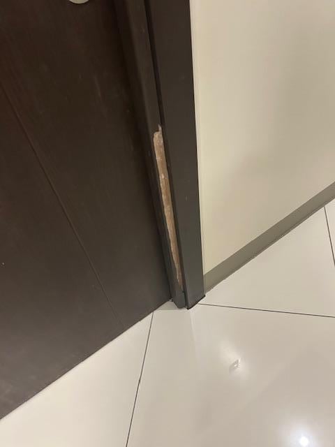 This is the exposed untreated wood in one of the doors.