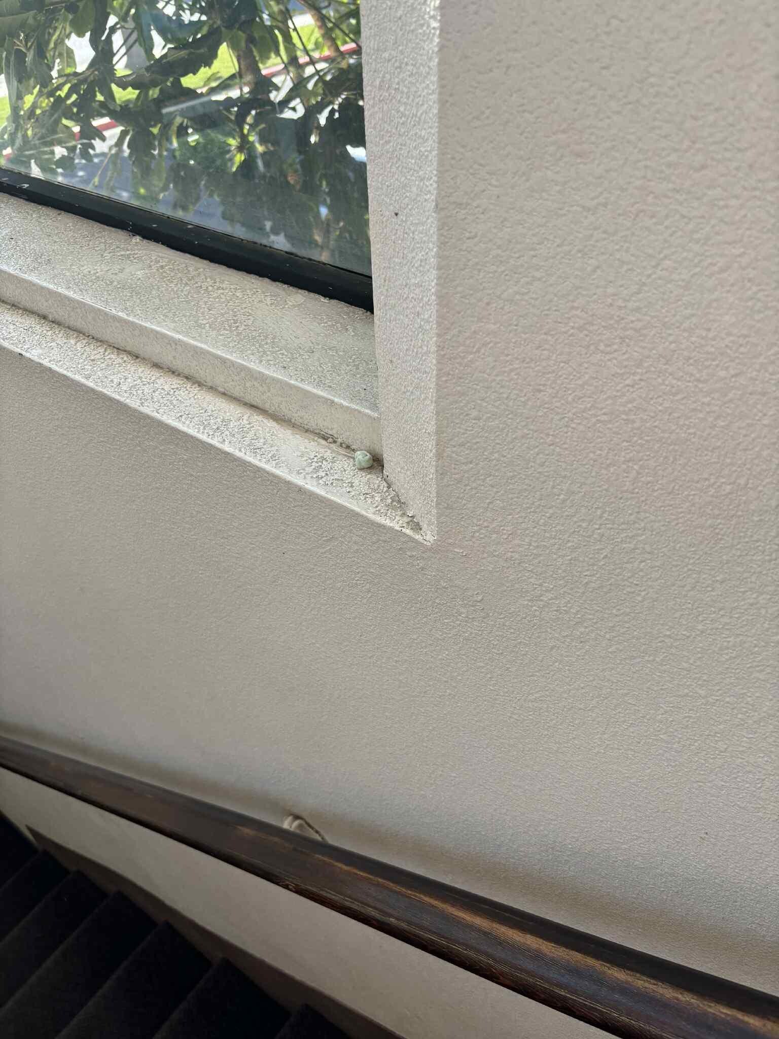Chewed gum out in the open