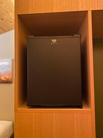 Tiny fridge, could fit a few cans