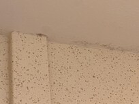 Mold/mildew on bathroom ceilings