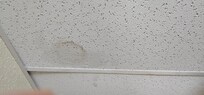 Mold