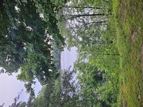 Another beautiful view from porch