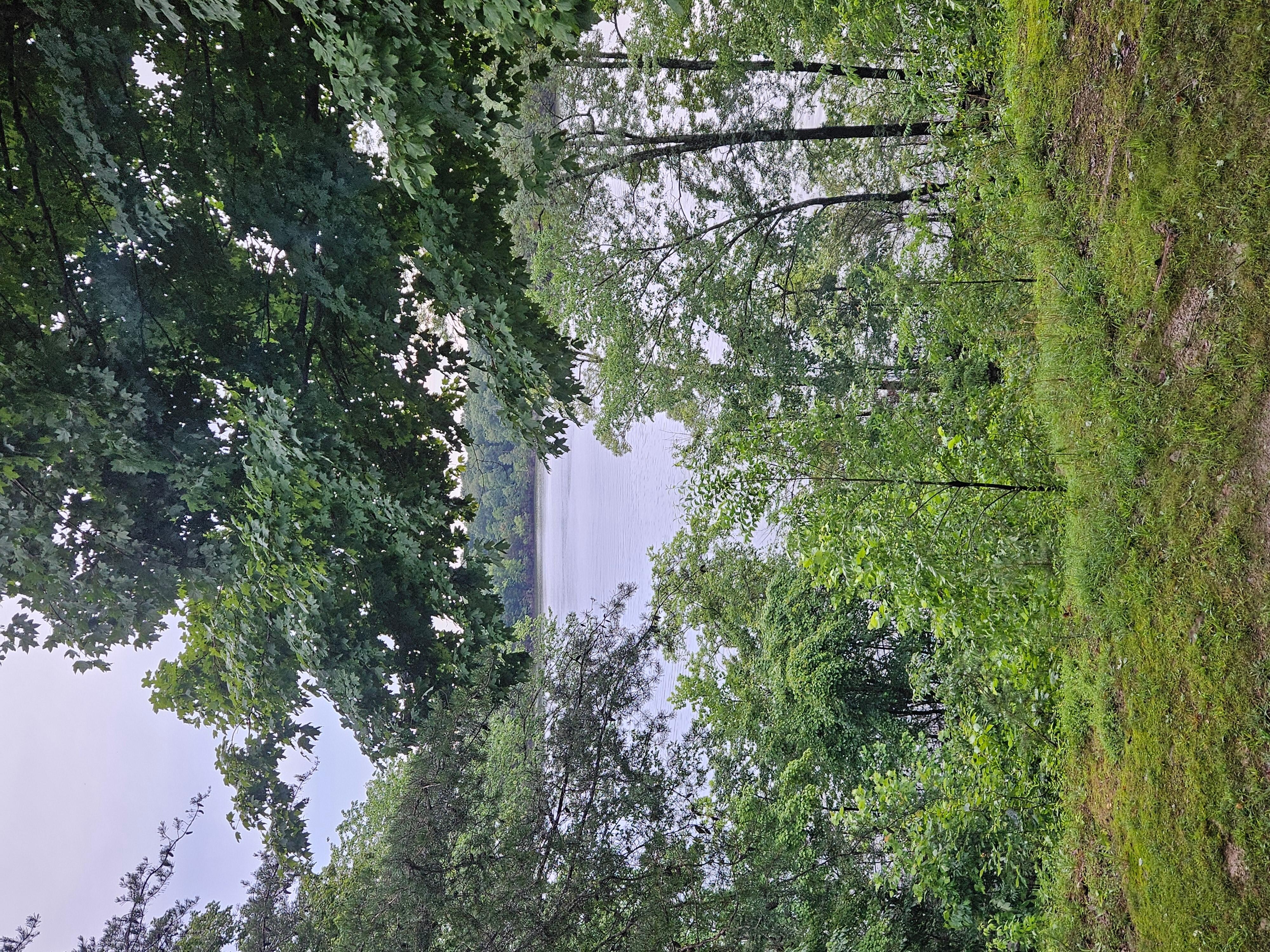 Another beautiful view from porch 